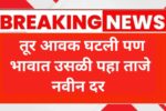 आज तूर आवक घटली पण बाजारभावात उसळी! जाणून घ्या आजचे तूर भाव लाईव्ह! Tur Bajar Bhav Aajche Live